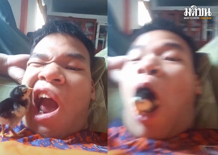 ขนาดเว็บไก่เข้าปาก