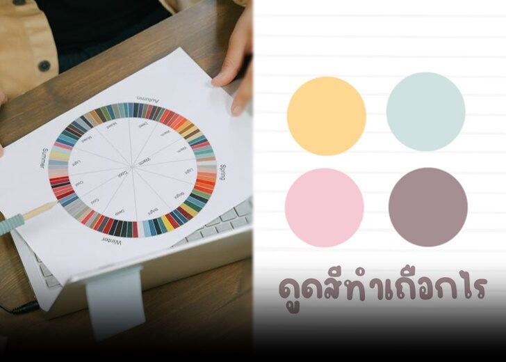 ดูดสี 61200