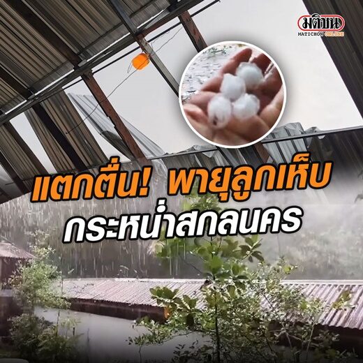 ปก