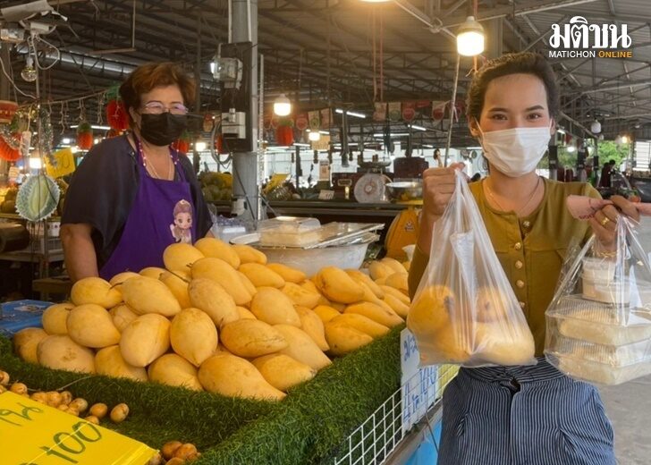 ปก-มะม่วง