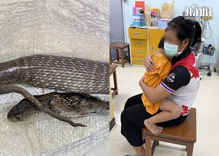 ปกใหม่