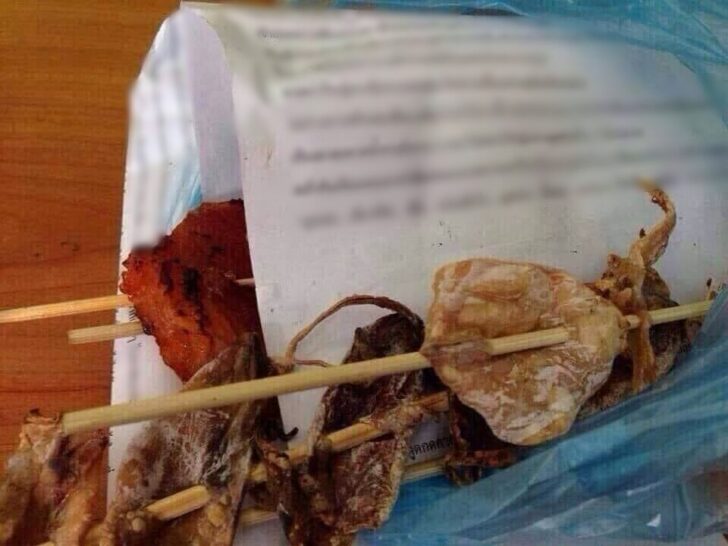 ปลาหมึกแซ่บยันถุง