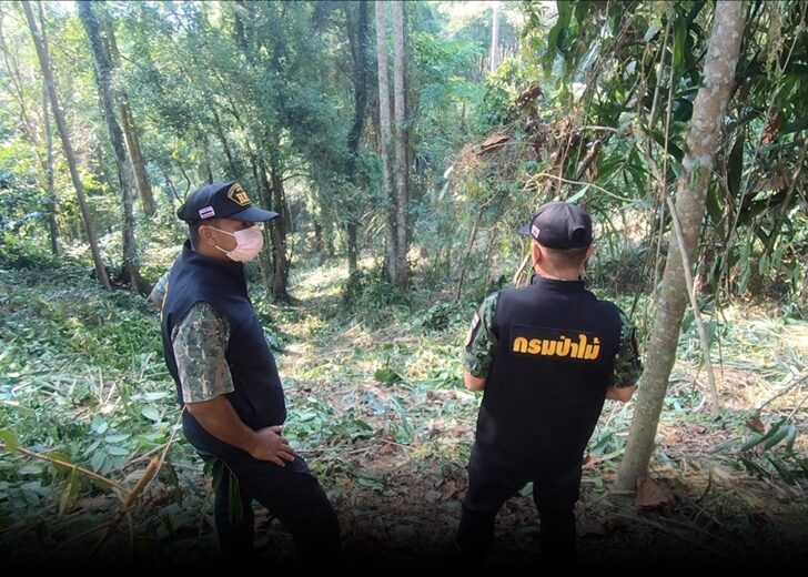 ป่าไม้