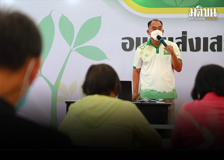 ผักเหมียง