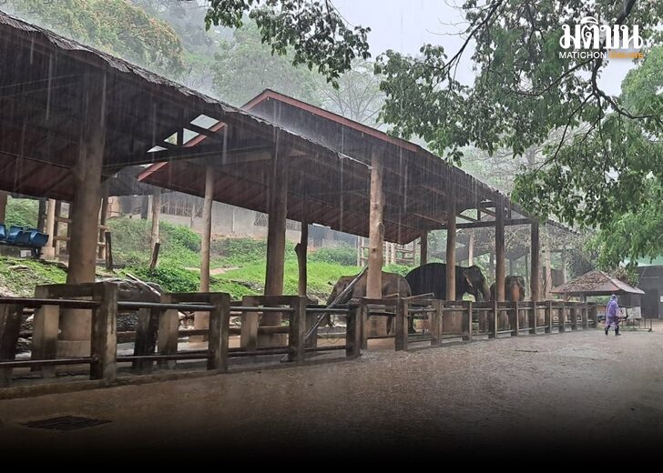 ฝนตก