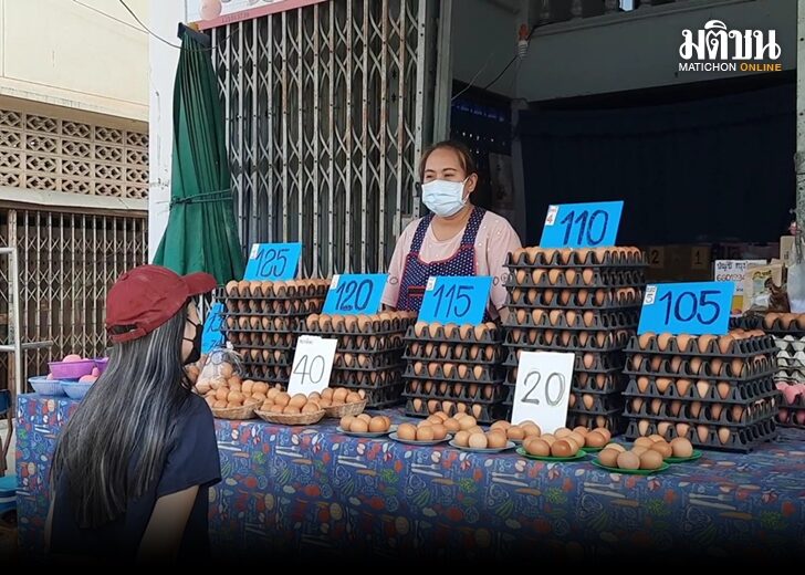 ราคาไข่ไก่พุ่ง 64