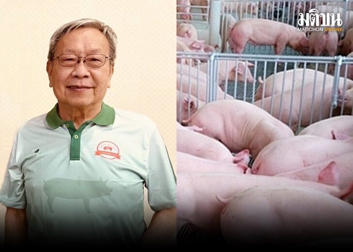 หมู