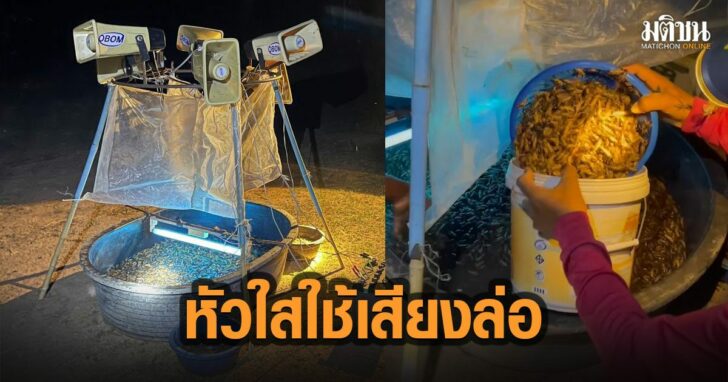30-หัวใส-ใช้เสียงล่อ