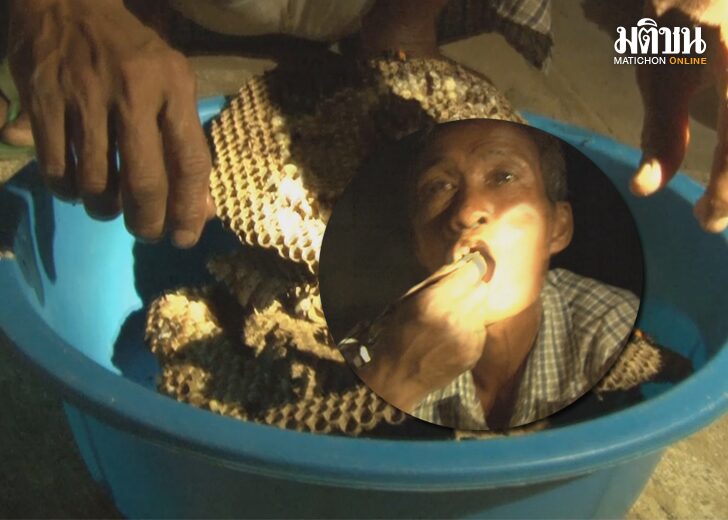 ขนาดเว็บต่อหัวเสือ