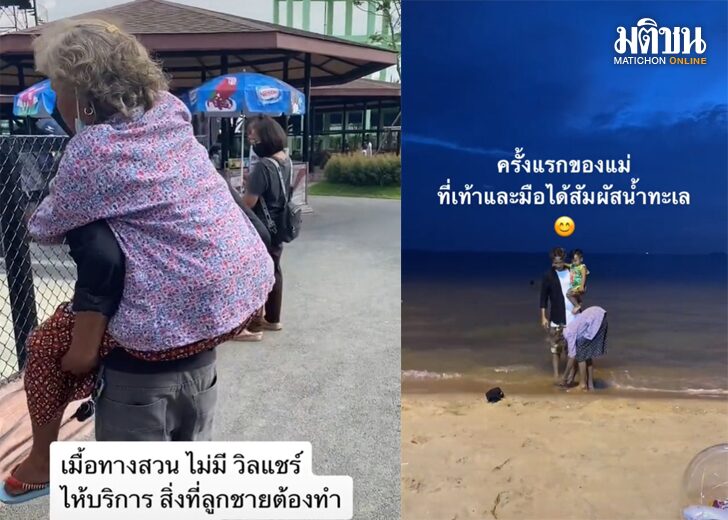 ขนาดเว็บอบอุ่นหัวใจ