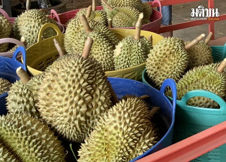 ทุเรียน