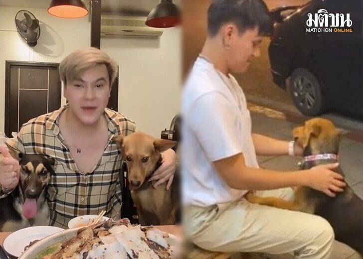 บูมหมูทะ2
