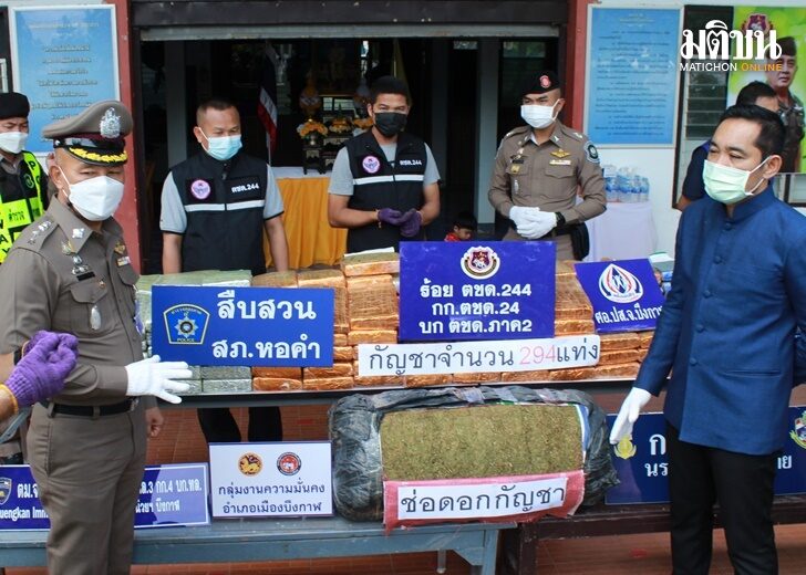 ปก-กัญชา