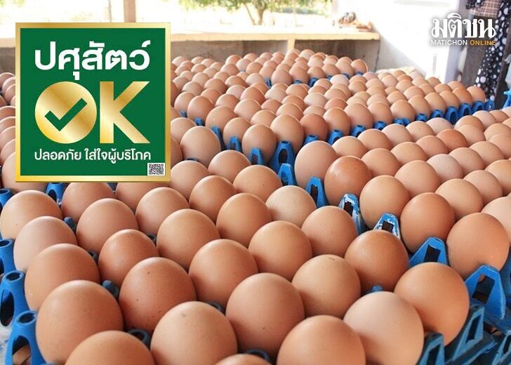 ปศุสัตว์-ไข่ไก่