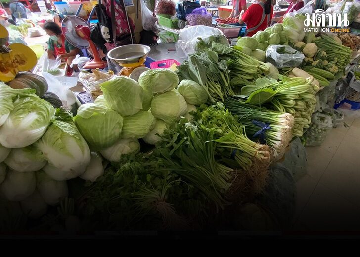 ผักชี