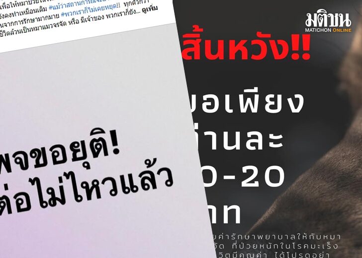 ขนาดเว็บเพจช่วยหมา