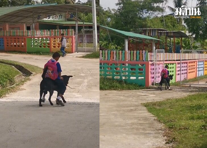ขี่หมากลับบ้าน2