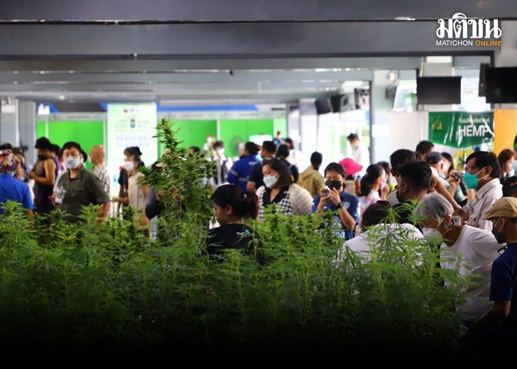 งานกัญ2