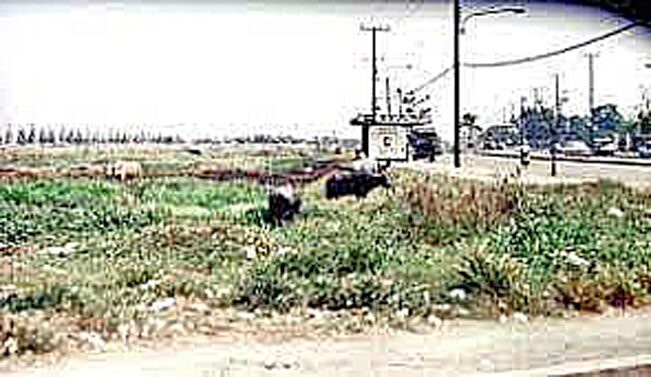 จตุจักร 2