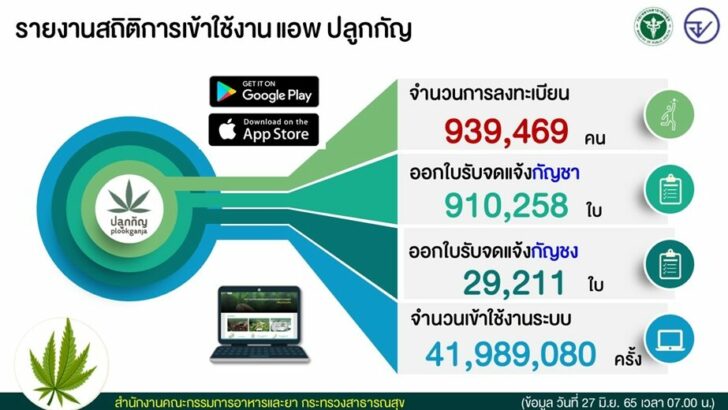 ตัวอย่างสถิติ ปลูกกัญ edit 2706650700