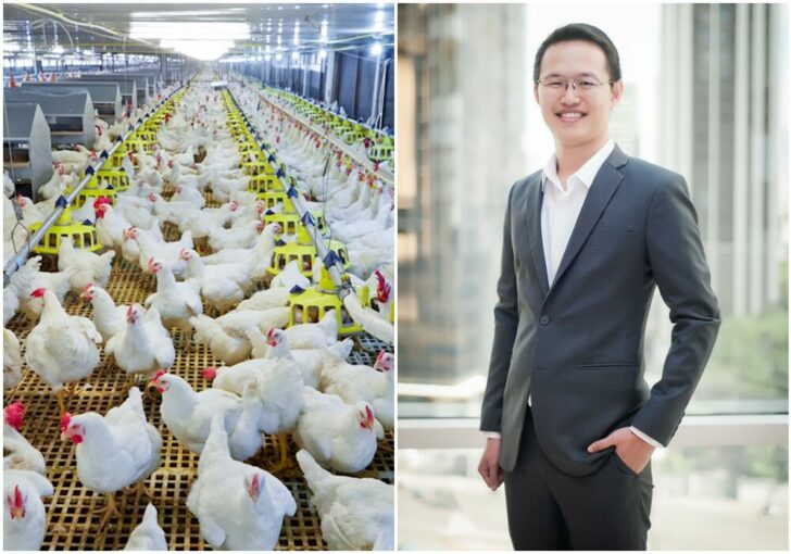 ทีเอฟจี
