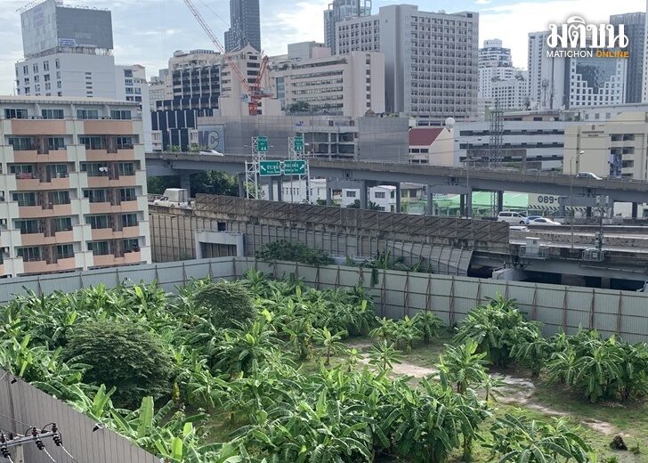 ปก-ที่ดิน