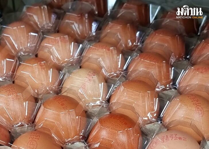 ปก-ไข่