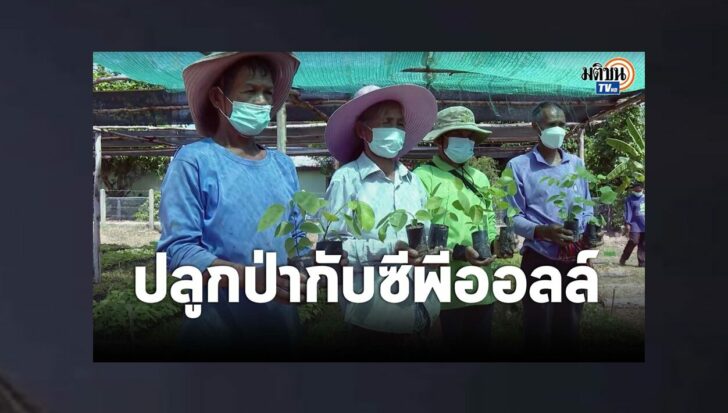 ปกดำ