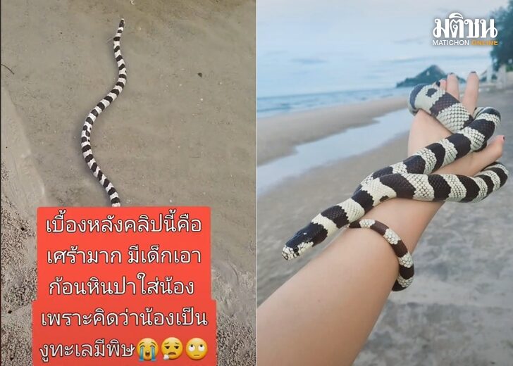 ปกเว็บ
