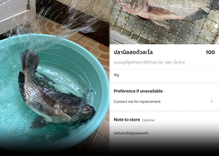 ปลานิลสดๆ728
