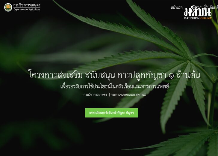 รับต้นกัญชาลงทะเบียน