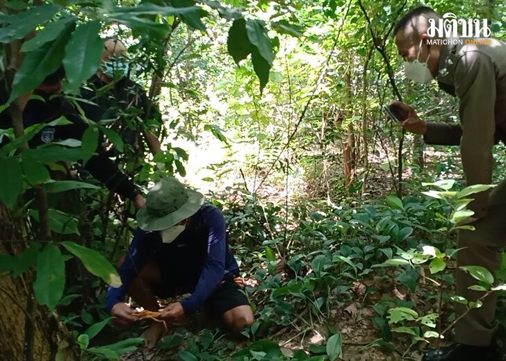 หนุ่ม