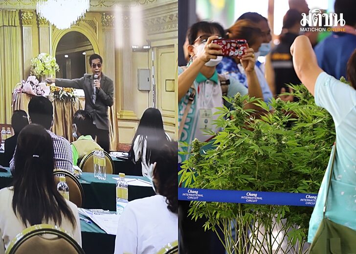 หมอธีระวัฒน์-งานกัญชา