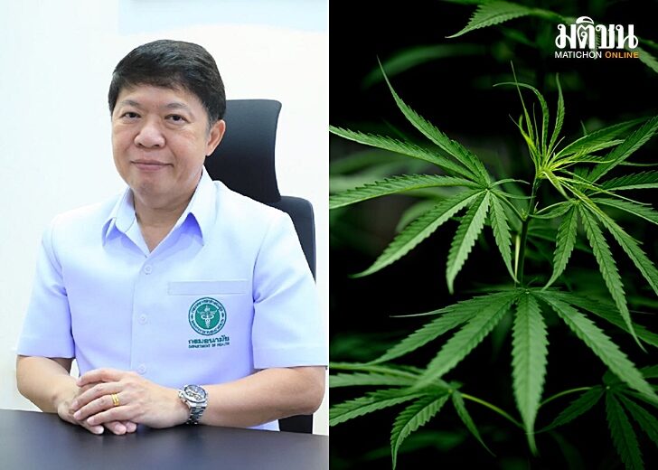 ห่วงใช้ใบกัญชา
