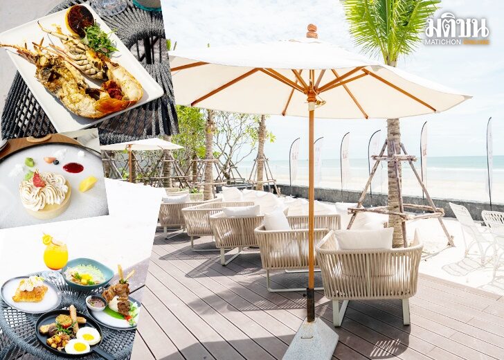 ชิลล์มีระดับ ริมทะเลหัวหิน 111 Social House คนอิ่มท้อง 'เจ้าตูบ-เหมียว' ก็อิ่มใจ ชิลล์มีระดับ ริมทะเลหัวหิน 111 Social House คนอิ่มท้อง 'เจ้าตูบ-เหมียว' ก็อิ่มใจ