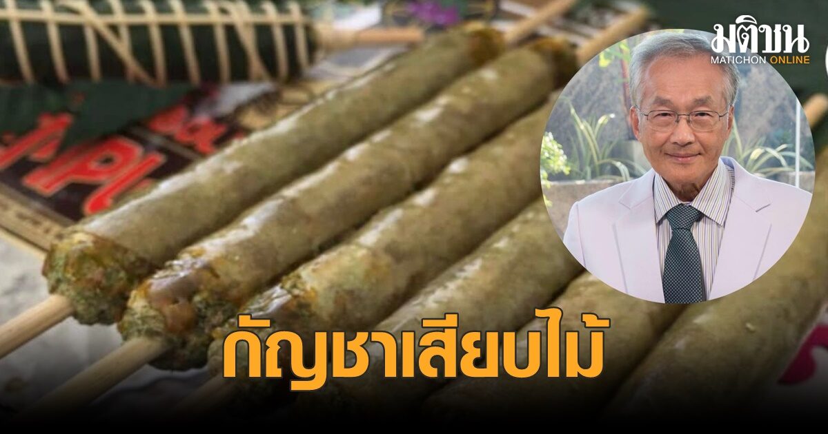หมอมนูญ ย้อนอดีต กัญชาเสียบไม้ของไทย มีสารเมา THC สูง ใช้เพื่อสันทนาการ