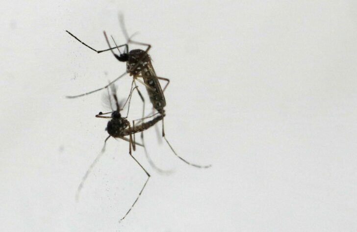 2022-07-14T051458Z_1273498633_RC2GBV99MTM9_RTRMADP_3_VIETNAM-HEALTH
