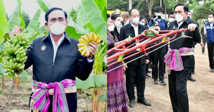 28-ประยุทธ์-กล้วยไข่
