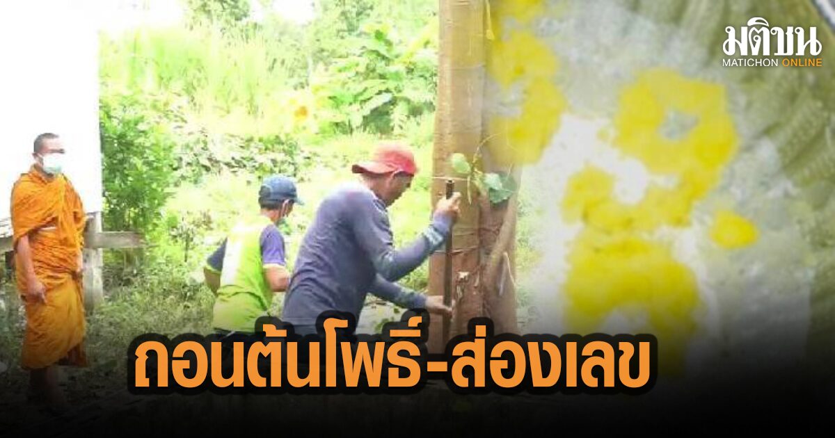 หลังพิธีสวดถอดถอนต้นโพธิ์ ชาวบ้านเฮ! ส่องเลขเด็ดขันน้ำมนต์