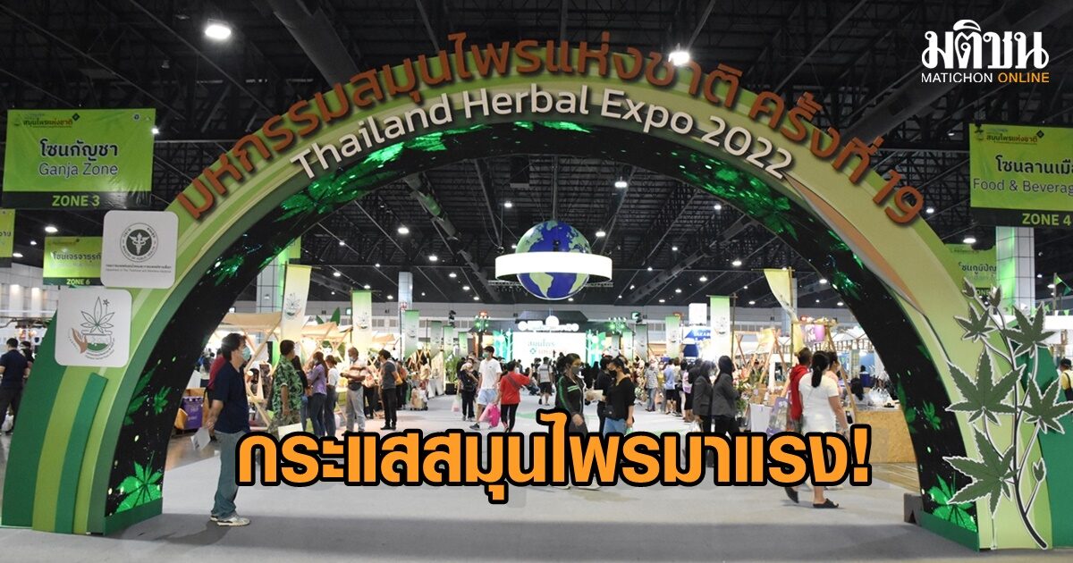 กระแสสมุนไพร แรงไม่แผ่ว กรมการแพทย์แผนไทยฯ เผยจัดมหกรรม 5 วัน เงินสะพัดกว่า 350 ล้านบาท