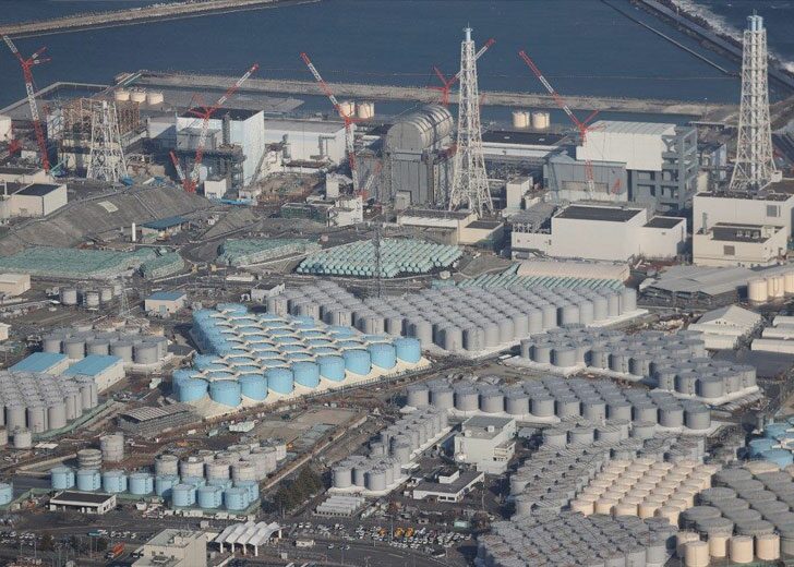 JAPAN-NUCLEAR-FUKUSHIMA-ENVIRONMENT-1