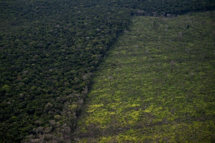 BRAZIL-AMAZON-RAINFOREST-DEFORESTATION