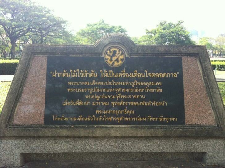 พระราชดำรัส พระบาทสมเด็จพระบรมชนกาธิเบศร มหาภูมิพลอดุลยเดชมหาราช บรมนาถบพิตร เมื่อวันที่ 15 มกราคม ปี 2505 ครั้งเสด็จพระราชดำเนินมาทรงปลูกต้นจามจุรี