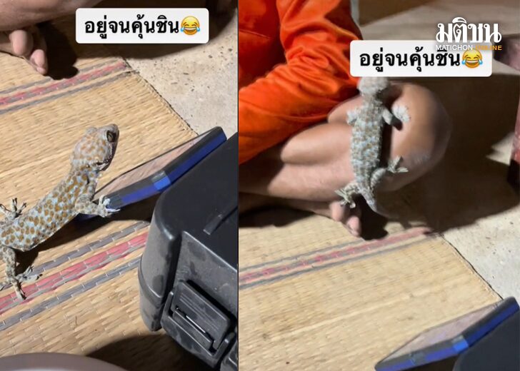 ขนาดเว็บคนคุ้ยเคย