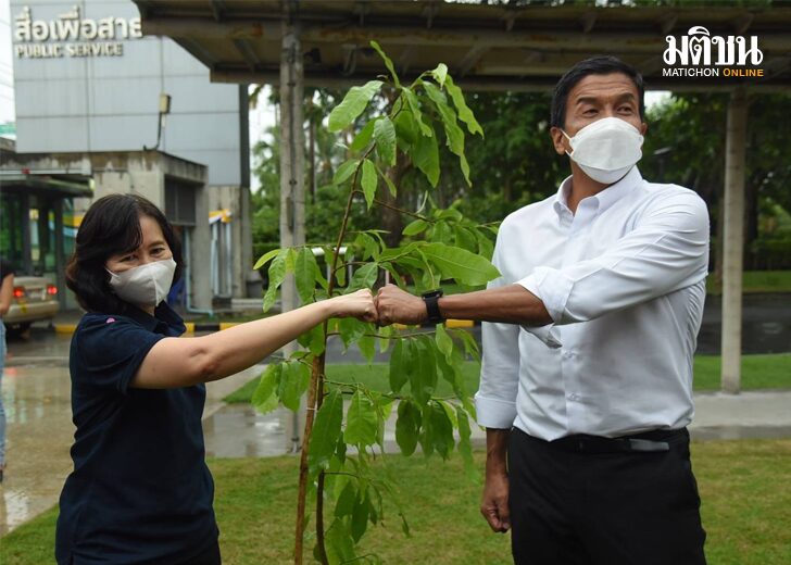 ขนาดเว็บนโยบาย
