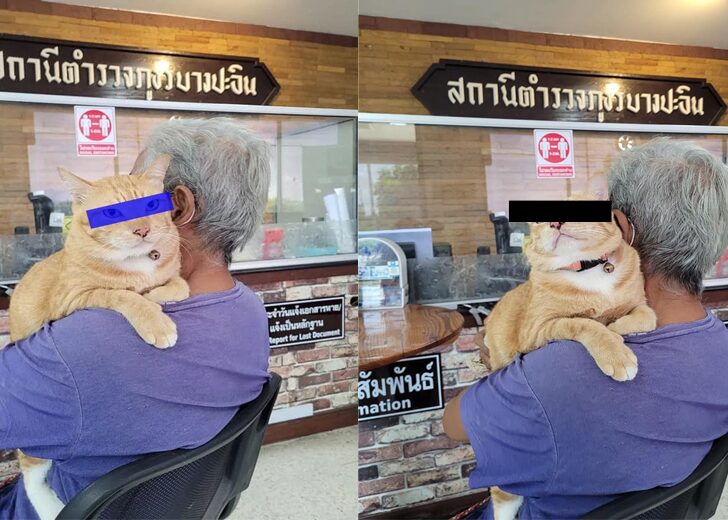 ขี่ใส่แปลงผัก