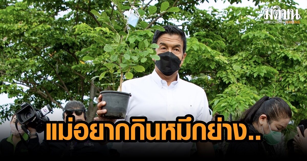 ชัชชาติ เผยแม่โทรหาตี 4 อยากกิน ‘หมึกย่าง’ หลังดูข่าวหนังกลางแปลง ยันกระตุ้นรากหญ้า