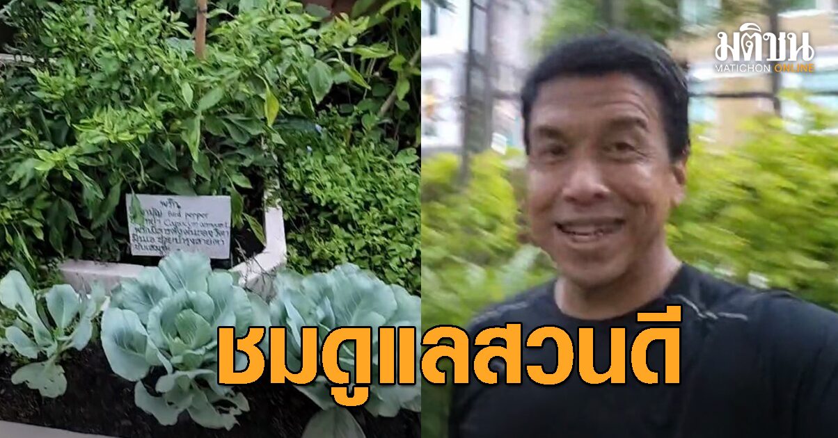 ชัชชาติ เล็งสะกิด ศานนท์ จัดดนตรี ‘สวนสันติภาพ’ หลังเดินดูผัก ชมดอกไม้ พิสูจน์ห้องน้ำ