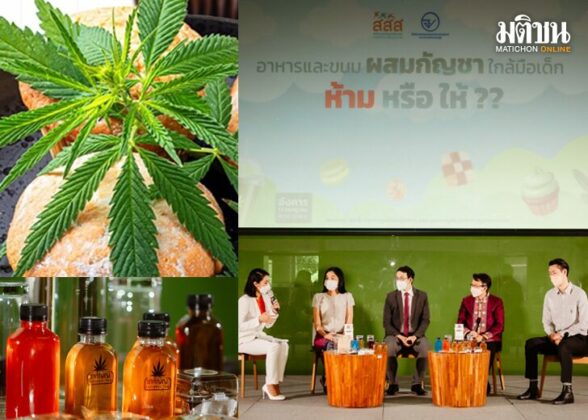 บทนำ : กัญชากับเด็ก สำนักงานกองทุนสนับสนุนการสร้างเสริมสุขภาพ (สสส.)
