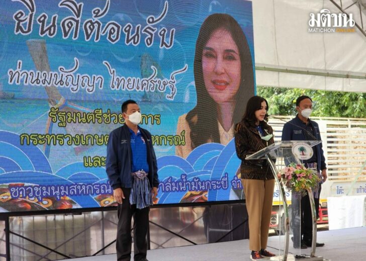 เว็บ
